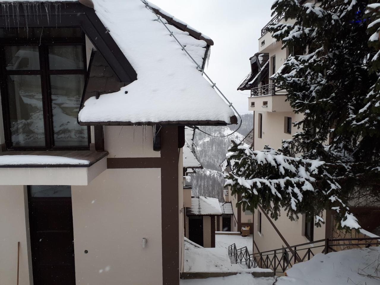 Apartman Andjela Kopaonik Eksteriør billede